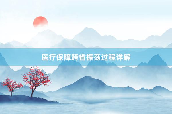医疗保障跨省振荡过程详解