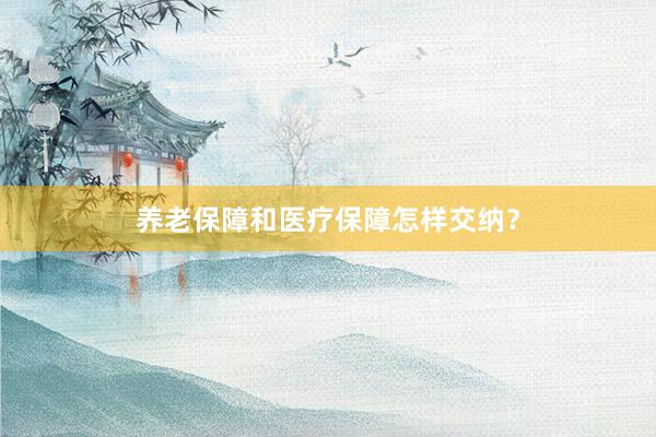 养老保障和医疗保障怎样交纳？