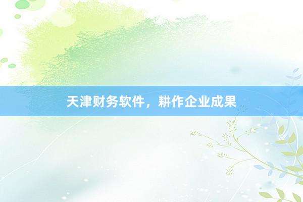天津财务软件，耕作企业成果